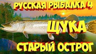 русская рыбалка 4 - Щука озеро Старый Острог - рр4 фарм Алексей Майоров