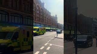 Harrods, London ️ #serene #london #harrods #shopping #richlifestyle