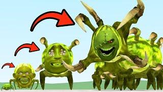 NEW EVOLUTION OF LIN GANG MELON CENTIPEDE In Garry's Mod