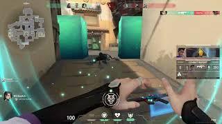 what was phoenix doing | Born creator Clips