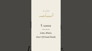 Usama beautiful name and its meaning #usama