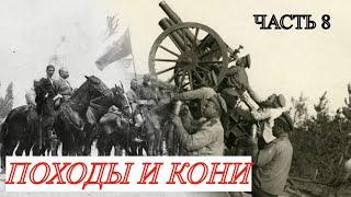 ЗАПИСКИ БЕЛОГВАРДЕЙЦА. Гражданская война-день за днем. Мамонтов С.И. Часть 8 (Отступление)