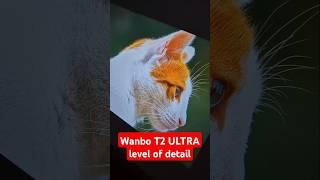 Wanbo T2 ULTRA level of detail #shorts #shortvideo #shortsvideo #review #projector #how #cinema