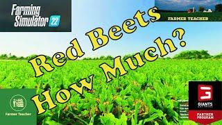 How Much Profit For Red Beets on Farming Simulator 22?