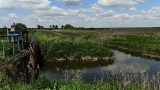 Заросшее озеро у деревни Берчуки. Overgrown lake near the village of Berchuki.