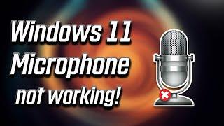 Fix Microphone Not Working on Windows 11 [2024]