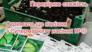 Яка схожість насіння з інтернет магазину Супермаркет насіння №①? Отримала ще одну бандероль!