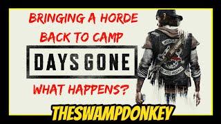 DAYS GONE - Bringing a Zombie Horde back to Hot Springs Camp - OOF