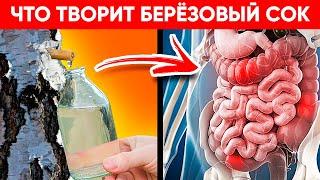 ВОТ ЧТО ТВОРИТ БЕРЕЗОВЫЙ СОК! (Реальная Польза и Вред Сока Березы)