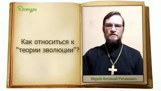 Как относиться к теории эволюции? о. Антоний Русакевич