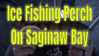 Underwater HD video footage of ice fishing BIG Perch on Saginaw bay Michigan.