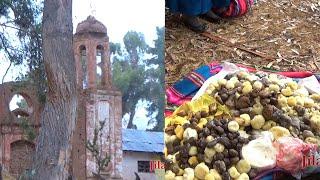 Delicioso apthapi y sorpresiva historia de Pillapi, San Agustin Tiwanaku, La Paz Bolivia