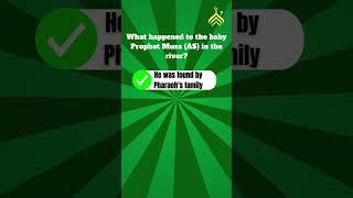 Only Smart Muslims Can Pass This Test | Islam IQ #islamicquiz