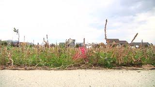 Ground penetrating radar helps define unmarked Helena cemetery