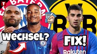 TRANSFER-KNALLER bei BAYERN! SCHNÄPPCHEN beim BVB? Fußball News Transfer | Tobibo