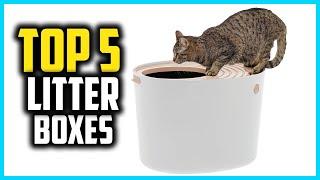  Top 5 Best Litter Boxes for Multiple Cats of 2024