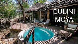 Dulini Moya: Ultra-Luxury SAFARI LODGE Near Kruger Park | AMAZING Game Drive Footage!