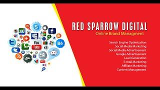 Red Sparrow Digital | Web, SEO & Digital Marketing Agency