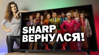 Sharp вернулся – обзор нового 4K-телевизора серии BL2