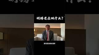 环球时报前总编辑胡锡进最新近况。