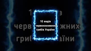 Гриби, Занесені в Червону Книгу України, Ч.2