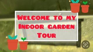 Indoor Garden Tour