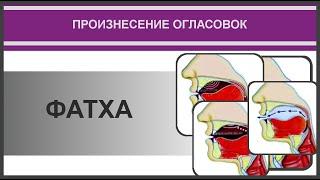 Айман Сувейд. 2. Огласовки: ФАТХА (русские субтитры)