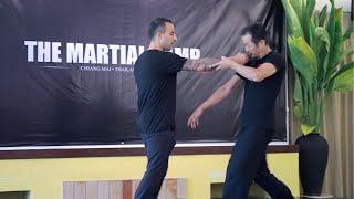 THE MARTIAL CAMP 2020 Video Highlights  • Taiji Quan | Wing Chun | 5 Ancestors Fist | Prana Dynamics