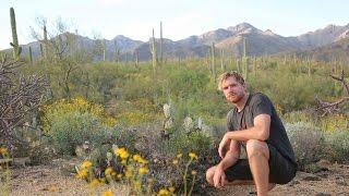 Solo Survival- How to Survive Alone in the Desert (Sonoran Desert)- Part One