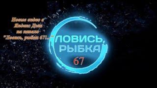 Новые видео Ловись рыбка 67 в Яндекс Дзен