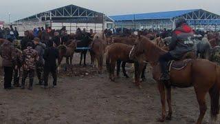 СОКУЛУК МАЛ БАЗАРЫ ЖЫЛКЫ БАЗАР 10- НОЯБРЬ