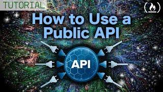 Using a Public API - Tutorial for Beginners