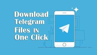 How to download all shared media files from a telegram channel or group