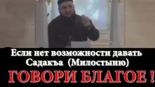 Умар Хехоев(7)