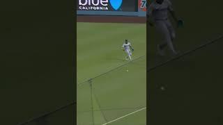 Tommy Edman hits walk-off base hit to win the game #mlb #baseball  #sports #dodgers #shotime #mlbasg