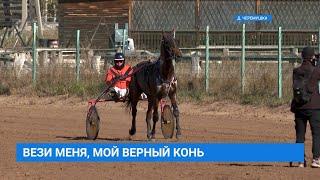 Конные соревнования на призы мэра Иркутского района прошли в Черёмушках