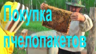 Покупка пчелопакетов. Пасека Сергея Буторина. 11-12 мая. 13 выпуск. Дополненный