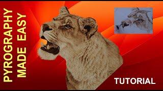 Wood Burning - Lioness - pyrography wood burning tutorial