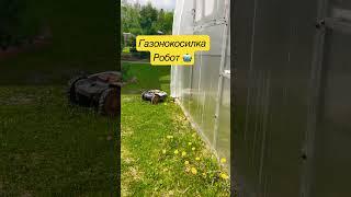 ГАЗОНОКОСИЛКА РОБОТ НА ДАЧЕ #дачныйвлог #стройка #участок #сад #дача #робот #газонокосилка #дом