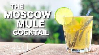 How To Make a MOSCOW MULE Cocktail | 1-Minute Cocktail Recipes