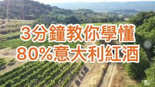 [意大利酒教學] 繁簡字 三分鐘教識你80%意大利紅酒｜三分鐘快速學習指南！| 如何學懂意大利酒| #Amarone #Barolo #Chianti