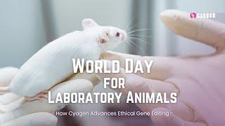 World Day for Laboratory Animals | How Cyagen Advances Ethical Gene Editing