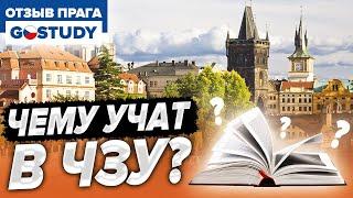 Опоковани- чешский академ. Отзыв о языковой школе Go Study (Гоустади)