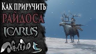 Icarus online(RU). Как приручить...#35. Райдос. Берег Парны