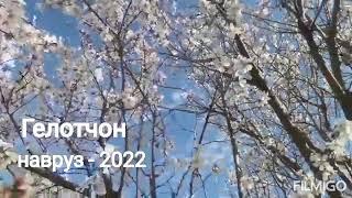 гелот - 2022