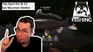 Kois & C2 Top Frequenz mit Teuerstem Futter | Russian Fishing 4 #592 | Deutsch | UwF