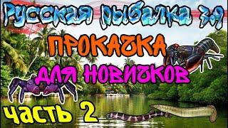 Русская рыбалка 3.99. Прокачка на Борнео. Часть 2