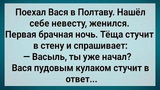 Как Вася в Полтаве Женился! Сборник Свежих Анекдотов! Юмор!