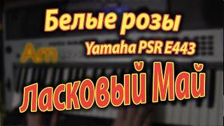 Белые розы. Аккорды. Yamaha PSR E443