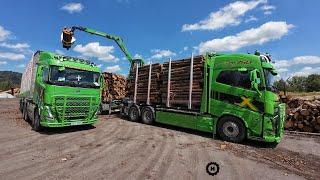 Volvo FH 16 750 s kabinkou - Standa Hyrš na vykládce